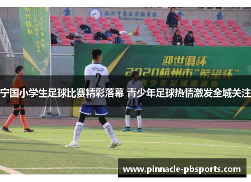 宁国小学生足球比赛精彩落幕 青少年足球热情激发全城关注
