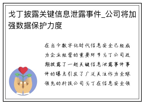 戈丁披露关键信息泄露事件_公司将加强数据保护力度