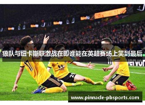 狼队与纽卡斯联激战在即谁能在英超赛场上笑到最后