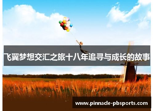 飞翼梦想交汇之旅十八年追寻与成长的故事